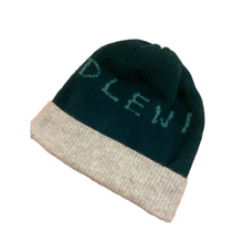 Load image into Gallery viewer, Limited edition wool Idlewild beanie hat
